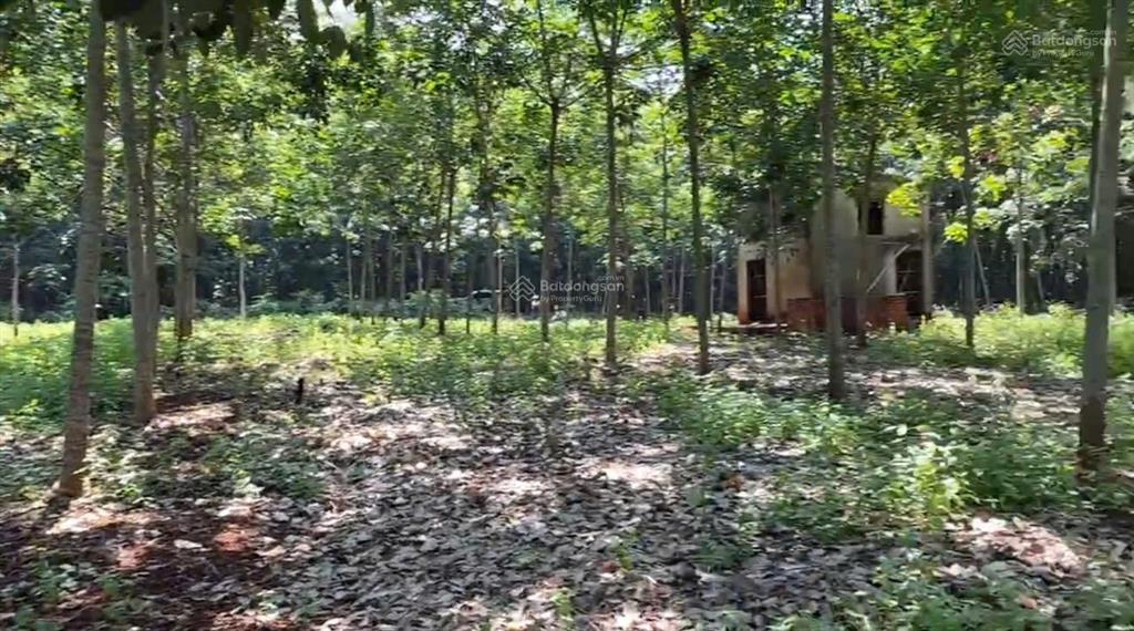 Bán đất tại lộc thành, 7,6 tỷ, 5000m2, pháp lý đầy đủ, view đẹp