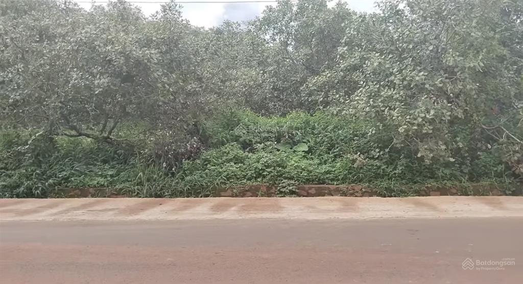 Bán đất tại đt 755b, 26 tỷ, 9836 m2, huyện bù đăng, bình phước