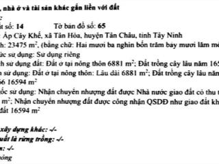 Bán đất mặt tiền dh thanh niên, tân hòa, tân châu, tây ninh