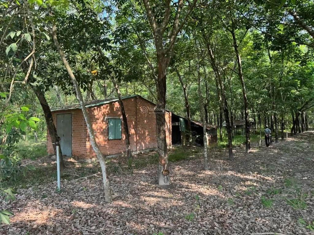 Bán gấp 9676 m2 đất skc tại tân hòa, 9676 m2, giá tốt 34 tỷ