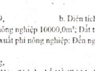 Bán đất tại xã tân phong, 54 tỷ, 16458,1 m2, giá cực chất chính chủ
