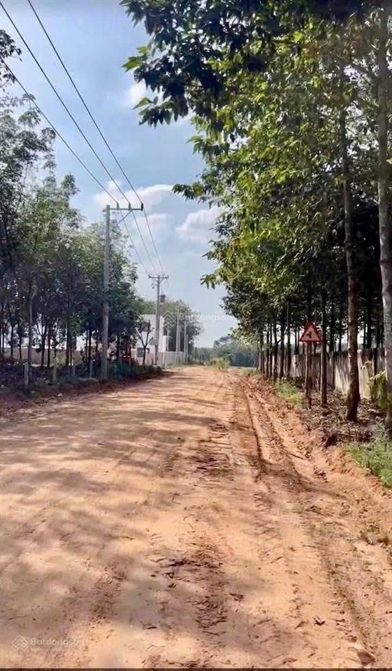 Bán đất tại xã tân phong, huyện tân biên, tây ninh, 28 tỷ, 6631.7 m2, hàng hiếm