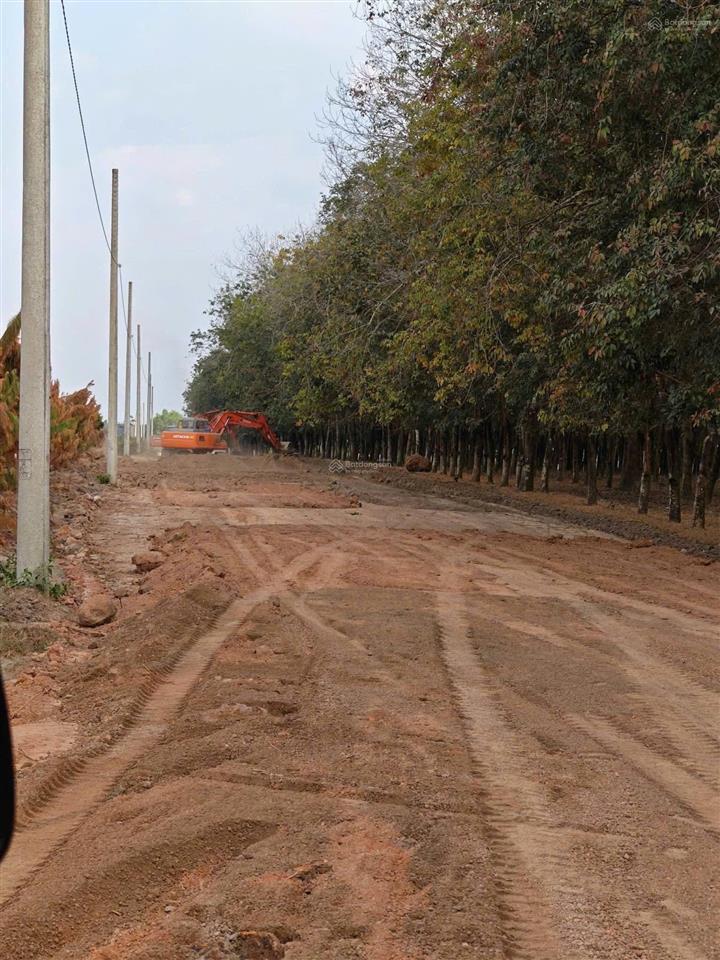 Bán đất tại xã tân phong, huyện tân biên, tây ninh, giá siêu hời 165 tỷ, 35931.7m2