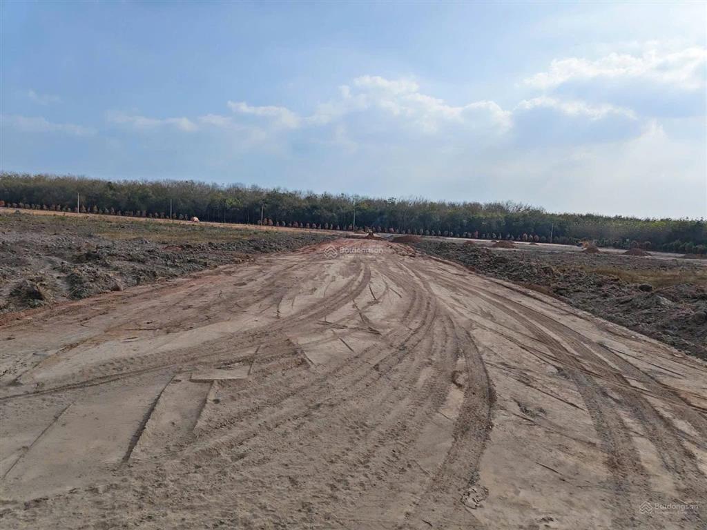 Bán đất tại xã tân phong, huyện tân biên, tây ninh, giá siêu hời 165 tỷ, 35931.7m2