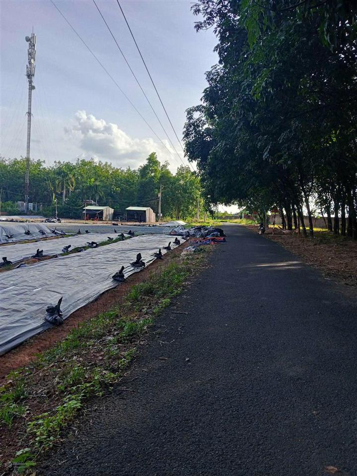 Bán đất skc tại xã tân phong, 45 tỷ, 10030.7 m2