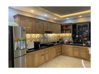 Chỉ 12,5 tỷ tl có ngay nhà hxh trần quang khải, 4x11m, 43m2, 5 tầng, hđt 22 tr/tháng
