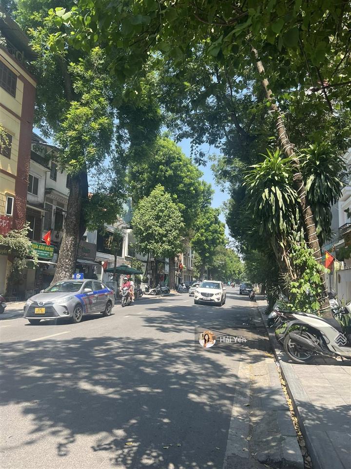 Rẻ nhất! bán nhà phân lô phố mạc thái tổ, ô tô tránh, 2 thoáng, thang máy, vp, kd, 105m2*6t, 31 tỷ