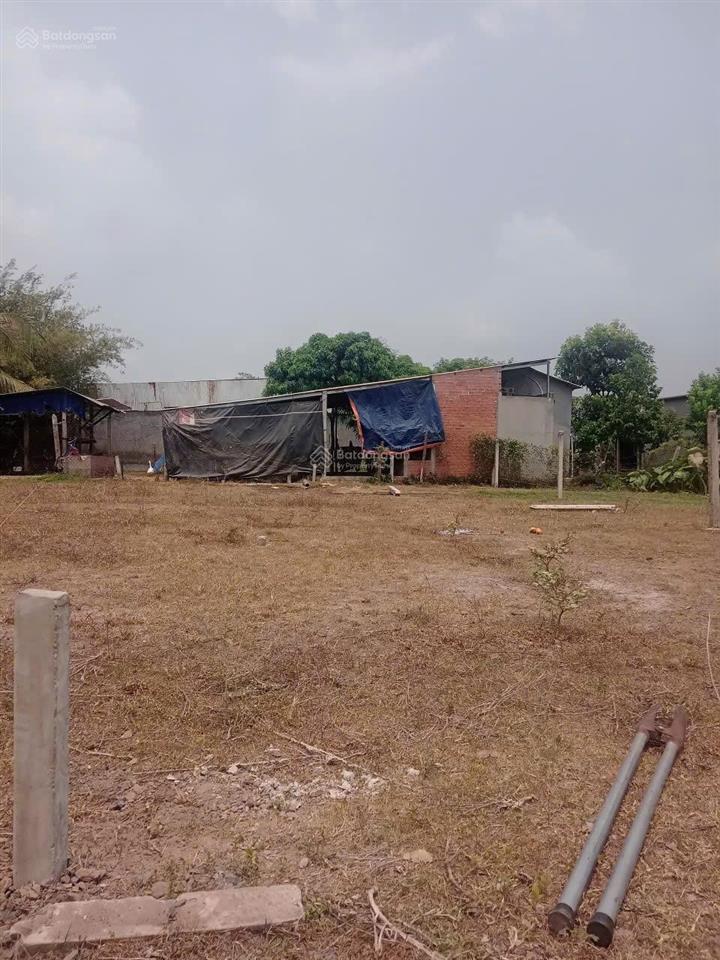 Cần bán đất 1 sẹc đường bà thiên, nhuận đức củ chi 99,1m2 có 80,1m2 thổ cư giá 950 triệu