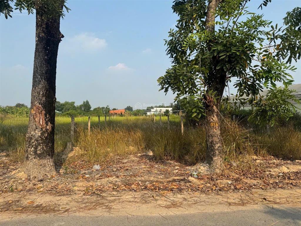 Đất mặt tiền đường đoàn minh triết 156m có 125m thổ cư kinh doanh buôn bán tốt thái mỹ củ chi 1t850