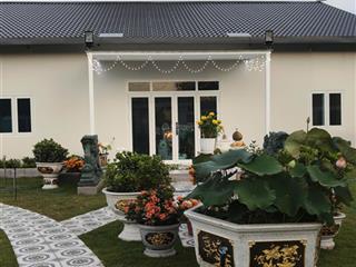 Bán nhà vườn view núi bà đen, diện tích 1.368m2, khuôn viên vườn cây ăn trái trưởng thành