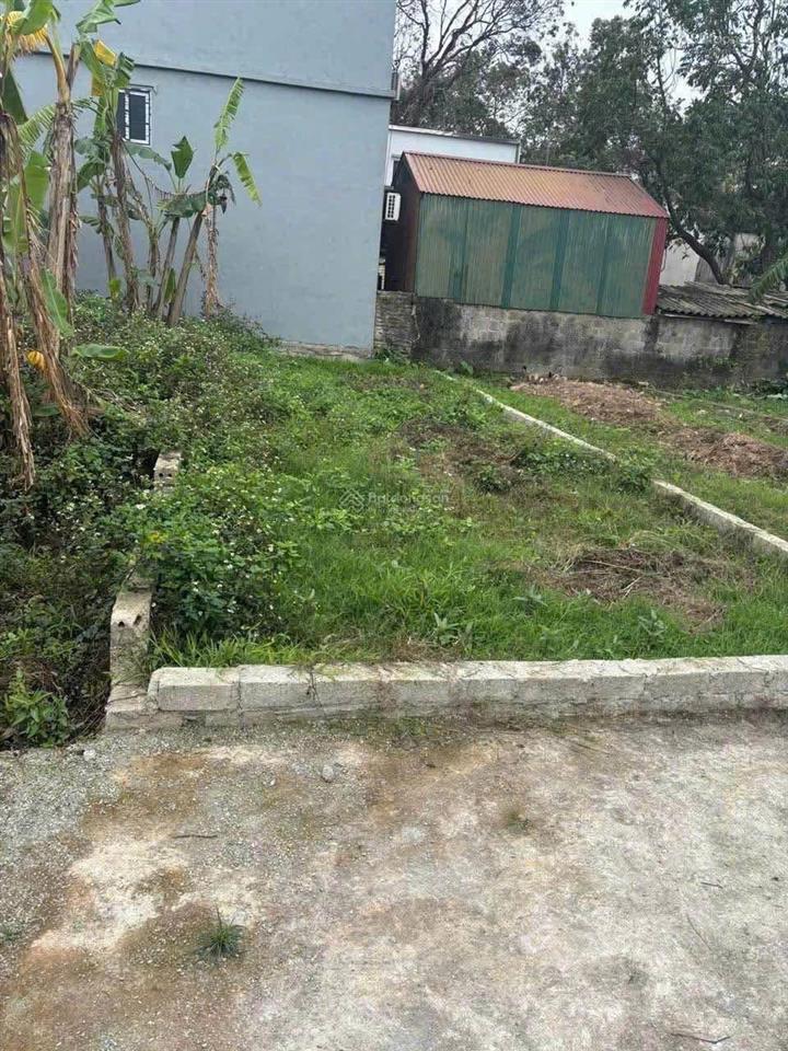 Chính chủ bán đất quế sơn thanh oai  ô tô vào đất  gần vinhomes olympic dt 52,2m² giá 3,3 tỷ