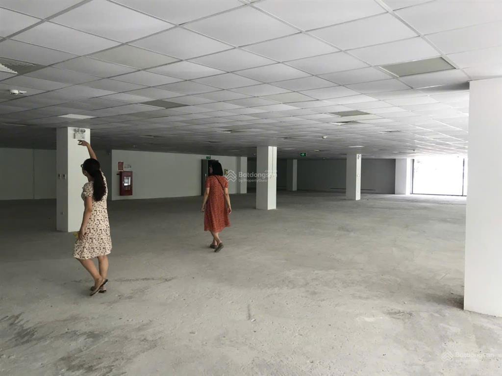 Cho thuê văn phòng hạng a tiến bộ plaza 175 nguyễn thái học dt 500m2, giá thuê chỉ 500k/m2/th