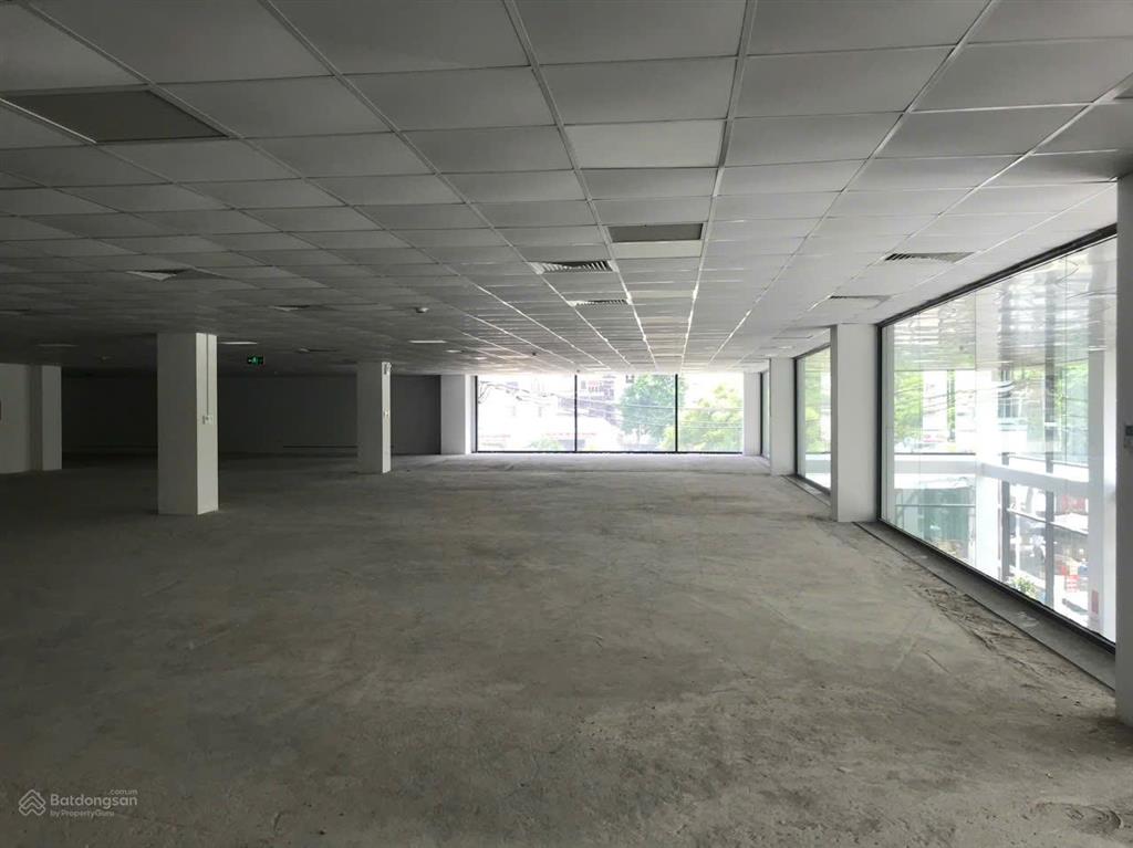 Cho thuê văn phòng hạng a tiến bộ plaza 175 nguyễn thái học dt 500m2, giá thuê chỉ 500k/m2/th