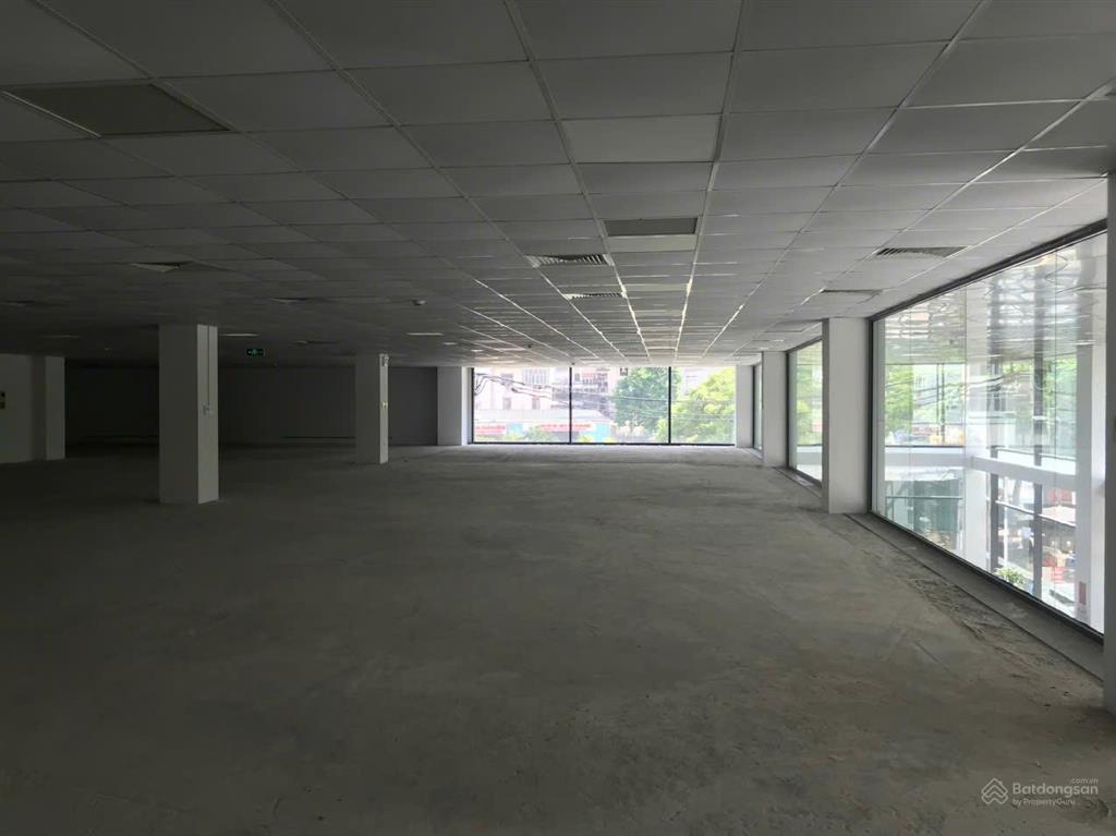 Cho thuê văn phòng hạng a tiến bộ plaza 175 nguyễn thái học dt 500m2, giá thuê chỉ 500k/m2/th