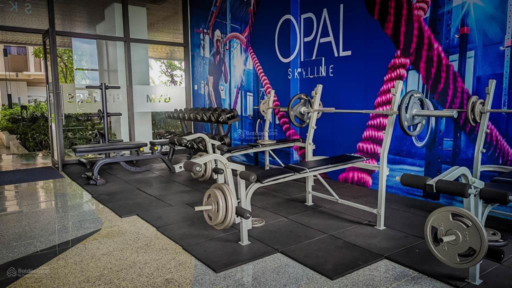 Cho thuê căn hộ 3pn 2wc opal skyline full nt chỉ 9 triệu  thuận an  ngay vsip 1