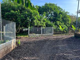 Rời xa khói bụi của phố thị tấp nập, quay về sở hữu ngay mảnh vườn trái cây lâu năm tại thống nhất