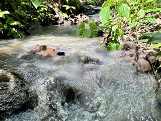 Mảnh vườn view hồ trị an  gần sân bay long thành  giá bán 999 triệu tại thống nhất