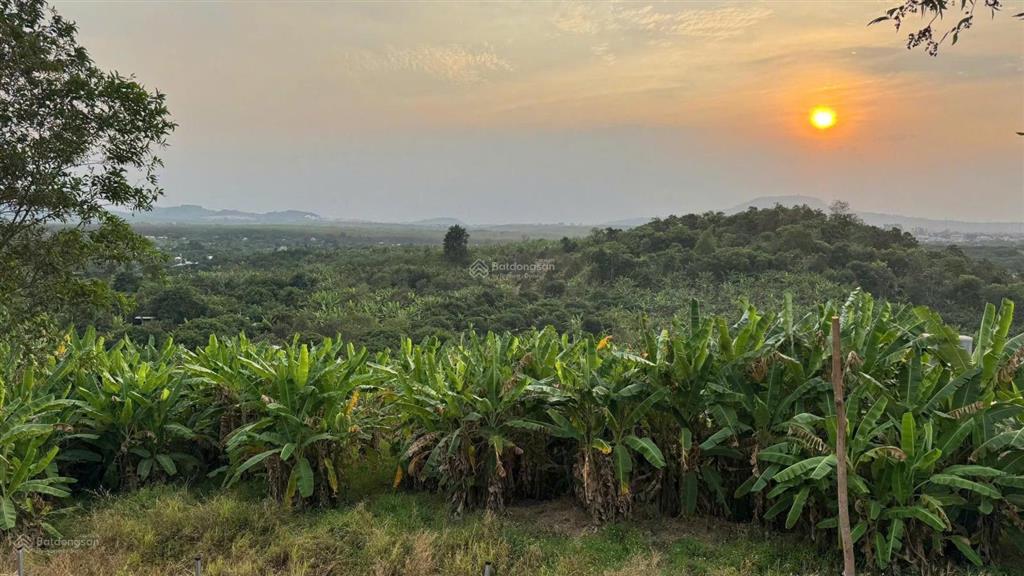 Sở hữu ngay 1350m2 mảnh vườn gia kiệm  view thống nhất về đêm  giáp long khánh