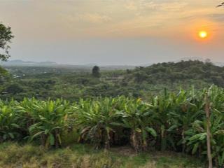 Sở hữu ngay 1350m2 mảnh vườn gia kiệm  view thống nhất về đêm  giáp long khánh