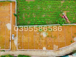 Hot! quỹ đất xã an nghĩa, hòa bình cũ