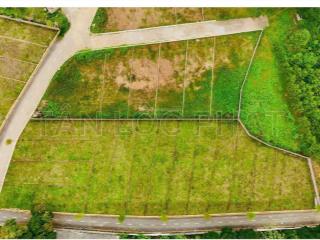 Hot! cơ hội hiếm sở hữu lô đất giá tốt thôi vai, an nghĩa, vị trí thuận lợi