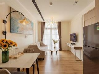 Căn hộ 1 phòng ngủ gần công viên lê văn tám, nhà thờ tân định, gần sát bên quận 1, quận 5, quận 10