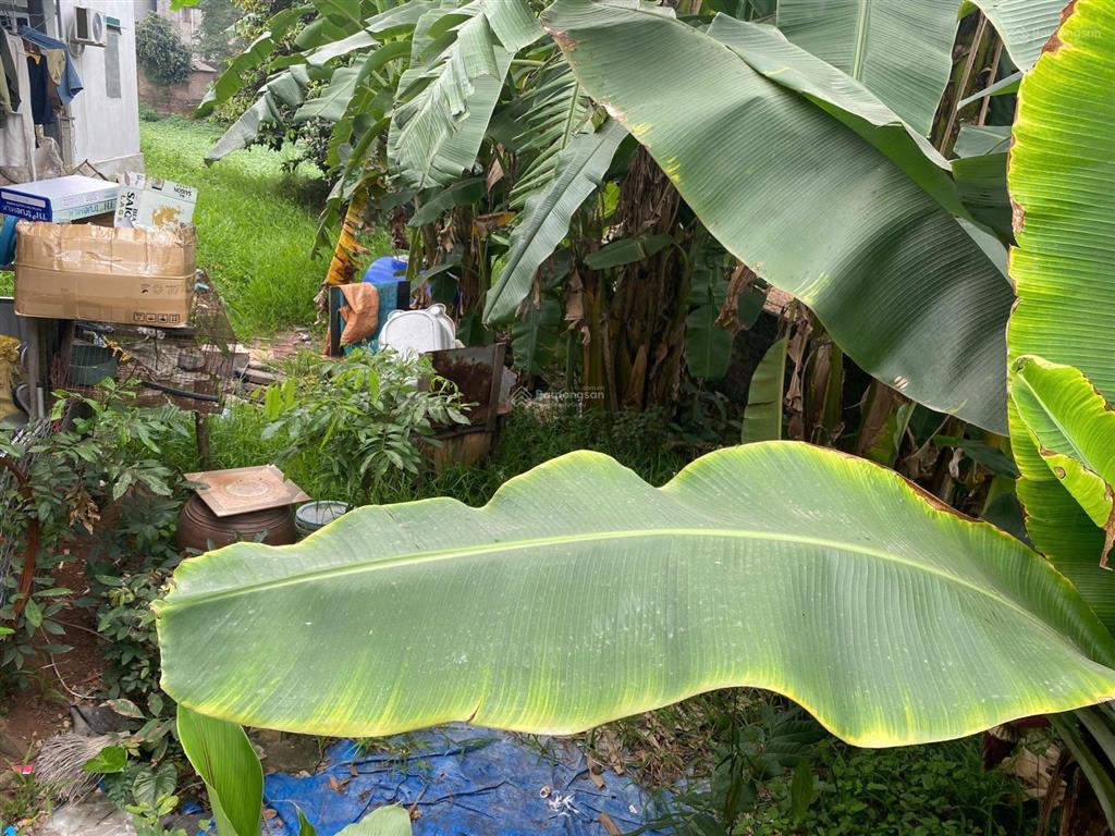 Hơn 2 tỷ đất dương quang gia lâm ô tô vào đất gần khu phú thị riverside