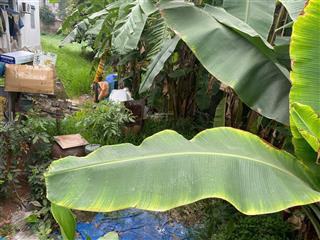 Hơn 2 tỷ đất dương quang gia lâm ô tô vào đất gần khu phú thị riverside