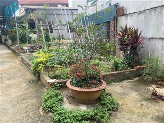 Đất đào xuyên ô tô vào đất 84m lô góc hơn 4 tỷ nói ko với quy hoạch giáp vin1