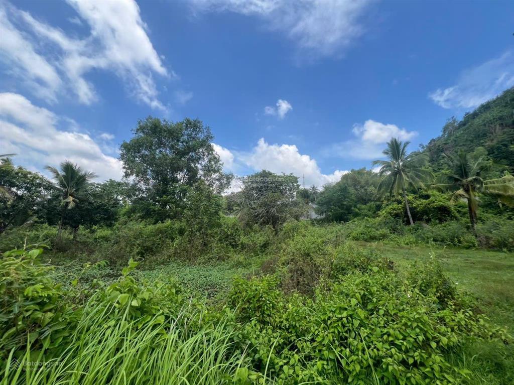 Bán đất tại xã hưng lộc, thống nhất, đồng nai, giá tốt 18 triệu/m2, 1000m2