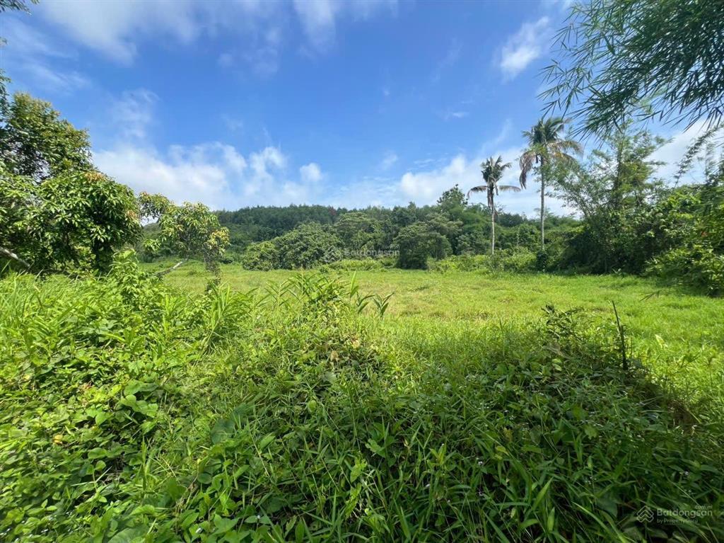 Bán đất tại xã hưng lộc, thống nhất, đồng nai, 18 triệu / m2, 2000 m2