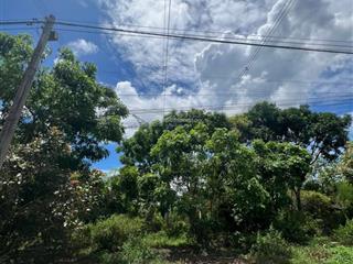 Bán đất tại hưng lộc, 18 triệu/m2, 3000 m2