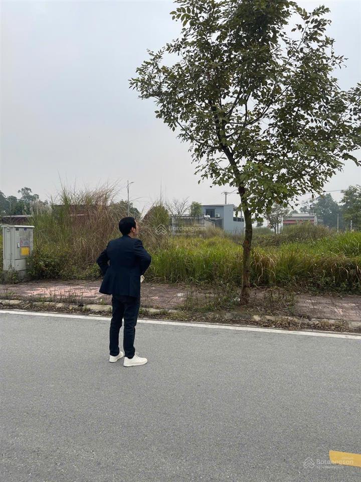 90m² đất đấu giá tiến thịnh  yên lãng, hà nội | hàng đẹp đáng tiền