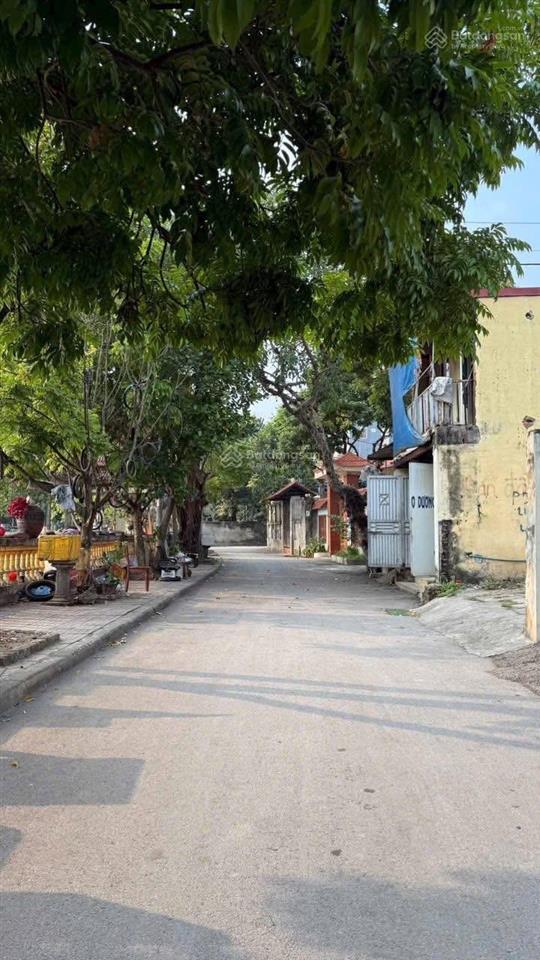 Khai xuân mở bán lô góc vàng trung tâm lô góc 97,5m tại trung tâm phường phúc yên, phú thọ