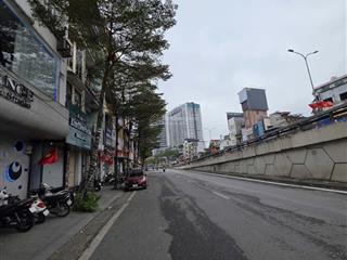 Bán đất tặng nhà phố tây sơn  đống đa  4 tầng  diện tích 110m2. giá 29 tỷ.