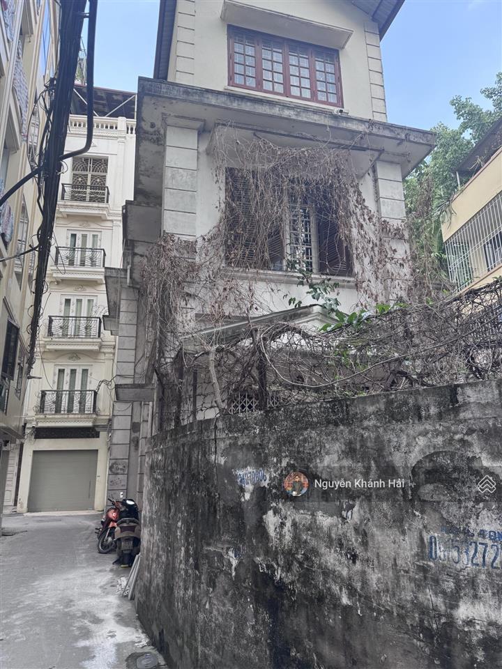 Bán gấp nhà trần quang diệu  ngõ thông  kinh doanh. dt 55m2  mt 6,2m. giá 12,9 tỷ.