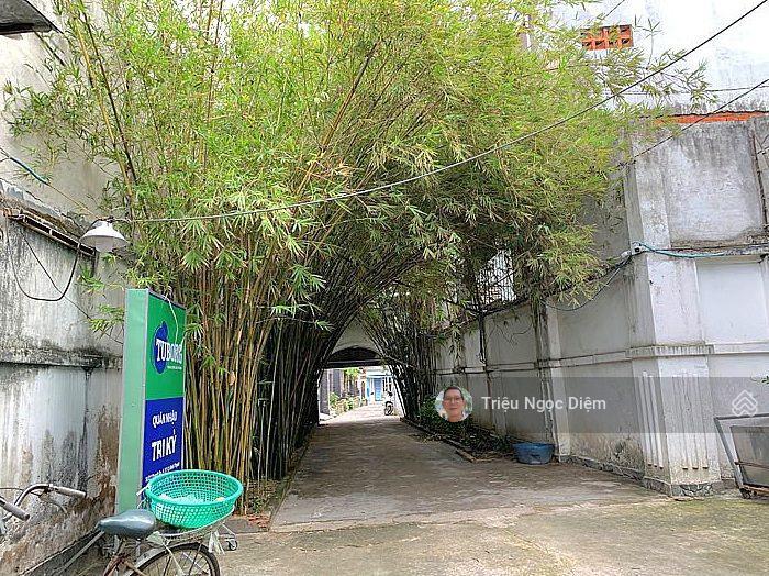 Bán đất view sông sài gòn thanh đa 437m2 2 mặt tiền khai thác ẩm thực 40tr/tháng chỉ 29 tỷ