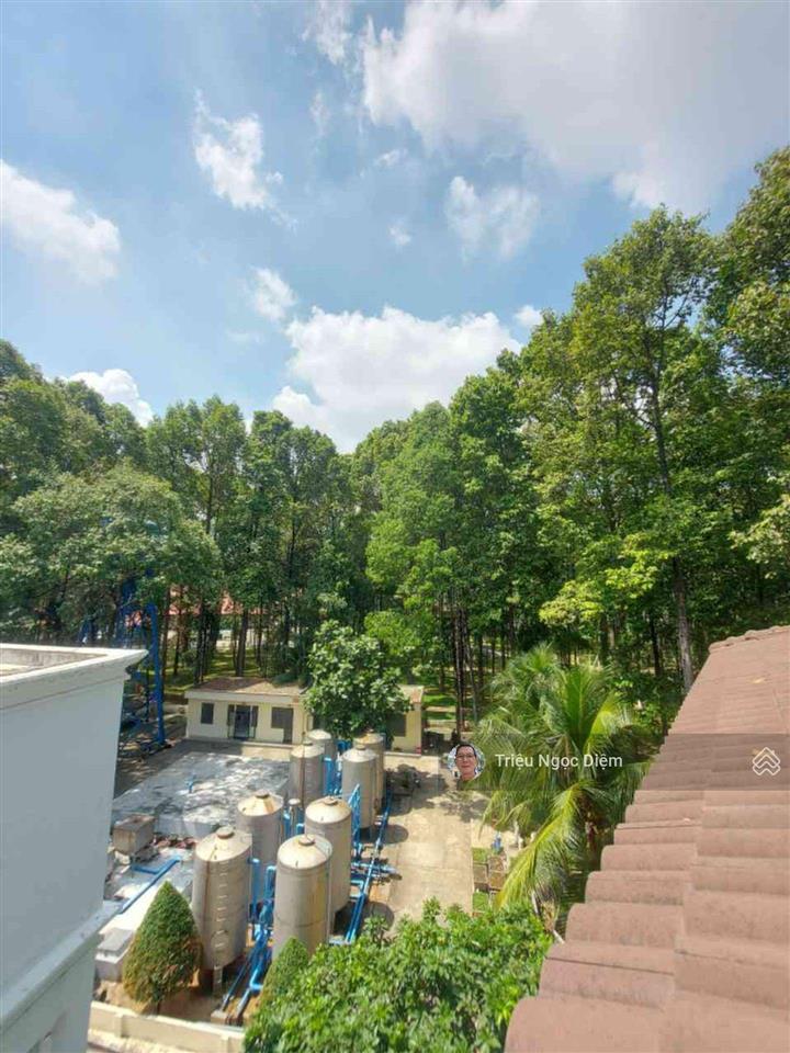 Biệt thự phổ quang  phú nhuận  275m2  4 tầng hầm 4 ô tô  sát sân bay tân sơn nhất