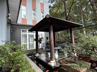 Biệt thự phổ quang  phú nhuận  275m2  4 tầng hầm 4 ô tô  sát sân bay tân sơn nhất