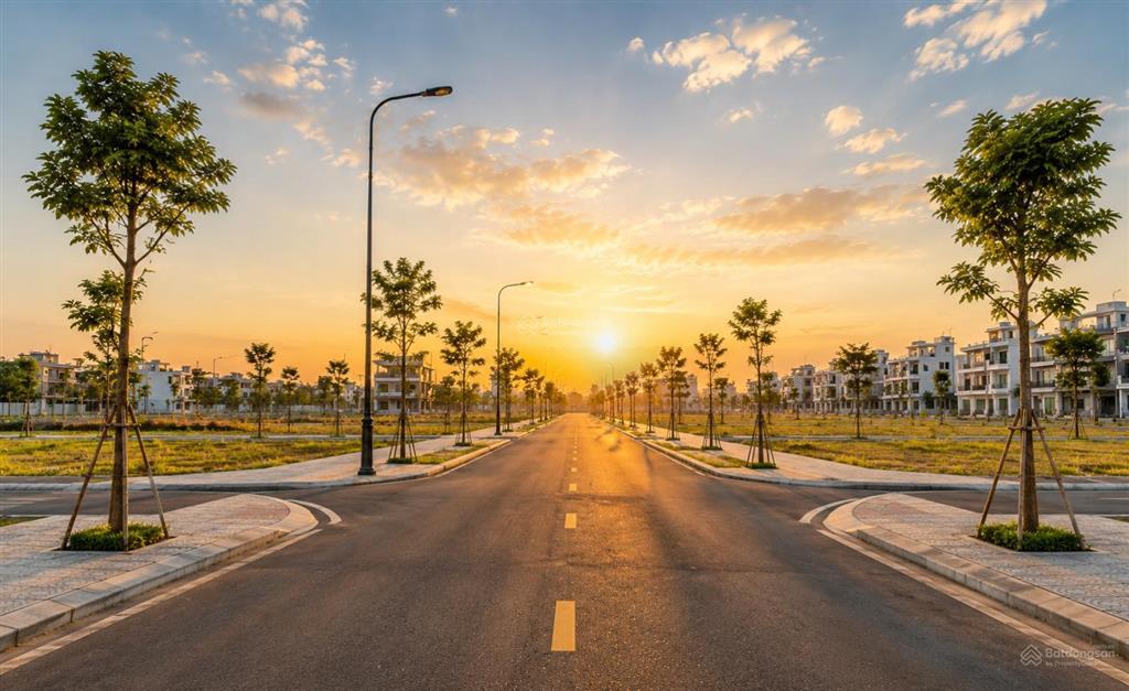 Bán đất 60m² gần chợ thông dụng, chỉ từ 2 tỷ, khu dân cư hiện hữu.