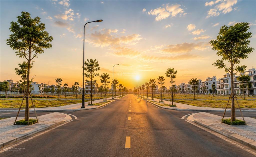 Bán đất 60m² gần chợ thông dụng, chỉ từ 2 tỷ, khu dân cư hiện hữu.