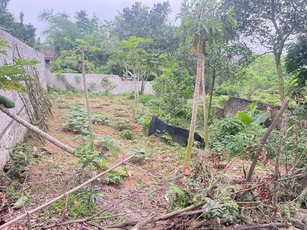 Bán đất tại xã đồng việt, yên dũng, bắc giang, 750 triệu, 100 m2.0983 088 ***