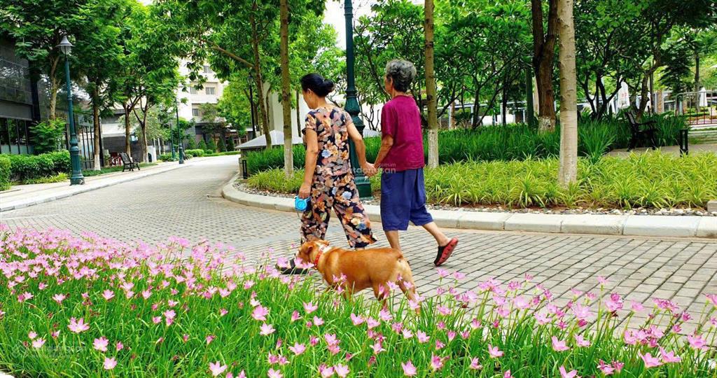 Giá chạm đáy khu compound splendora bắc an khánh! lk áp góc  mt 9m khủng  chỉ 19xtr/m