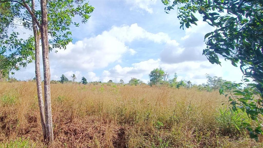 ~ 12,5 tỷ chốt 4.400 m2 300 thổ cư cạnh đường s6 khu công nghiệp sonadezi kinh doanh đa ngành nghề