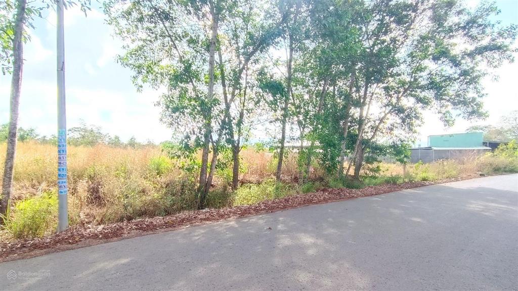 ~ 12,5 tỷ chốt 4.400 m2 300 thổ cư cạnh đường s6 khu công nghiệp sonadezi kinh doanh đa ngành nghề