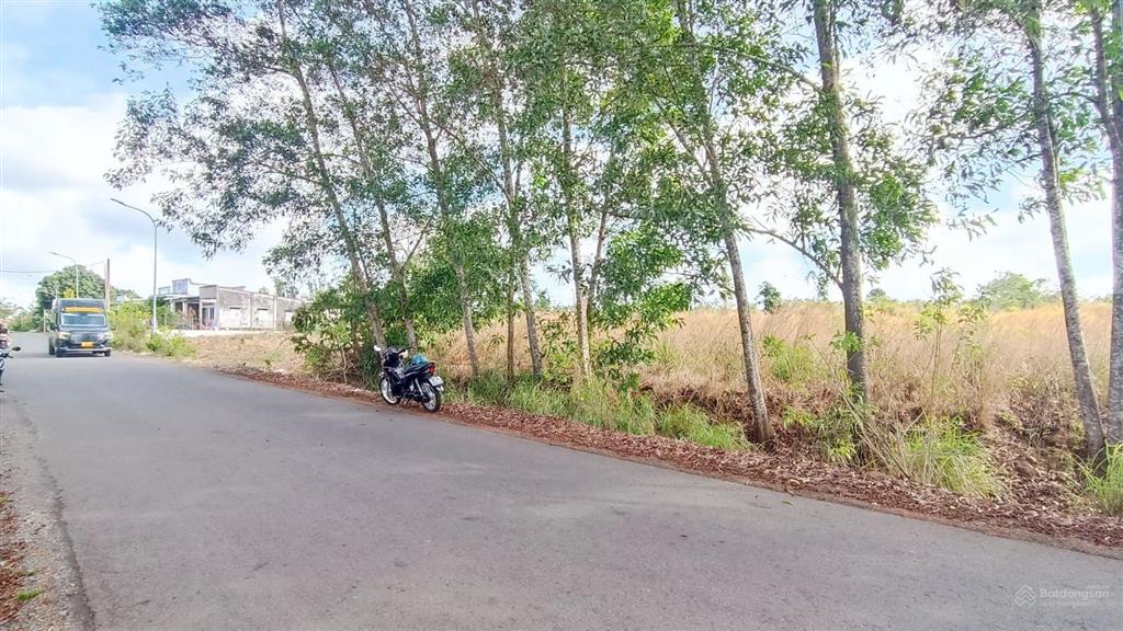 ~ 12,5 tỷ chốt 4.400 m2 300 thổ cư cạnh đường s6 khu công nghiệp sonadezi kinh doanh đa ngành nghề