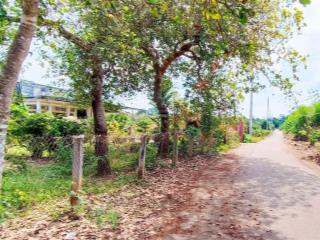 Cần bán 2000 m2 100 tc (20x100)m đất đỏ bazan màu mở khu dân cư 2,5 tỷ rẻ đẹp thích hợp nhà vườn