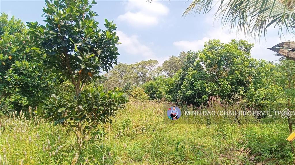 ~1000 m2 cắt lỗ còn 1,85 tỷ (14 x 72)m ngay khu dân cư xã láng lớn và cạnh trường học, ủy ban vip