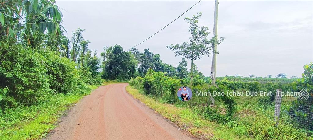 13.500 m2 mặt tiền đường nhựa tại bà rịa vũng tàu mặt tiền hướng đông giá 10,2 tỷ  0375 159 ***