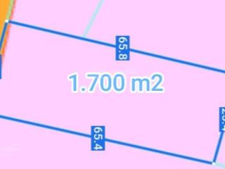 Bán gấp đất đang trồng cây ăn trái 3,3 tỷ đường nhựa khu dân cư tiềm năng sát trung tâm siêu rẻ